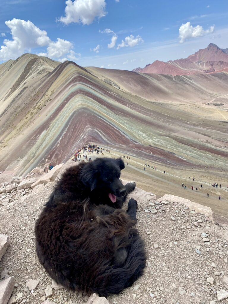 Best Day Hikes from Cusco rainbow mountain dog